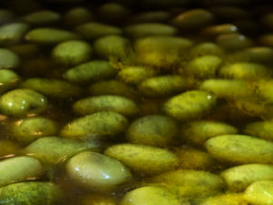 Atributos negativos de aceite de oliva