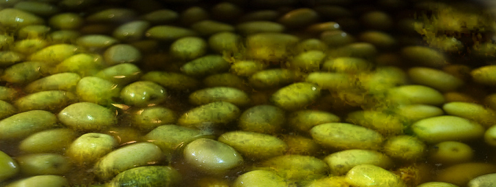 Defectos del aceite de oliva