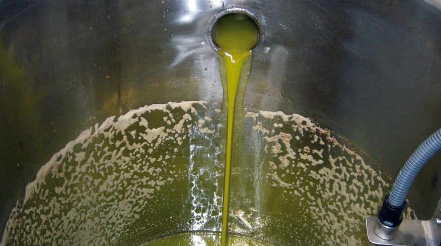Image 06 : Hacienda Ortigosa Oil Press